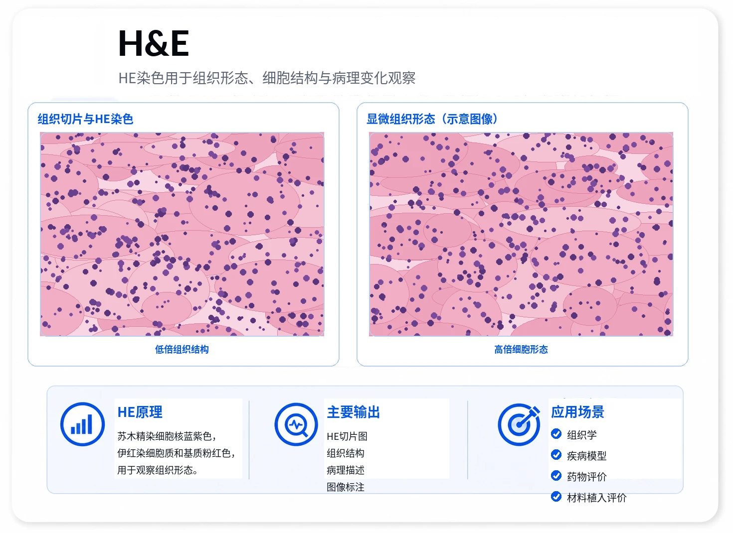 HE染色 参考图