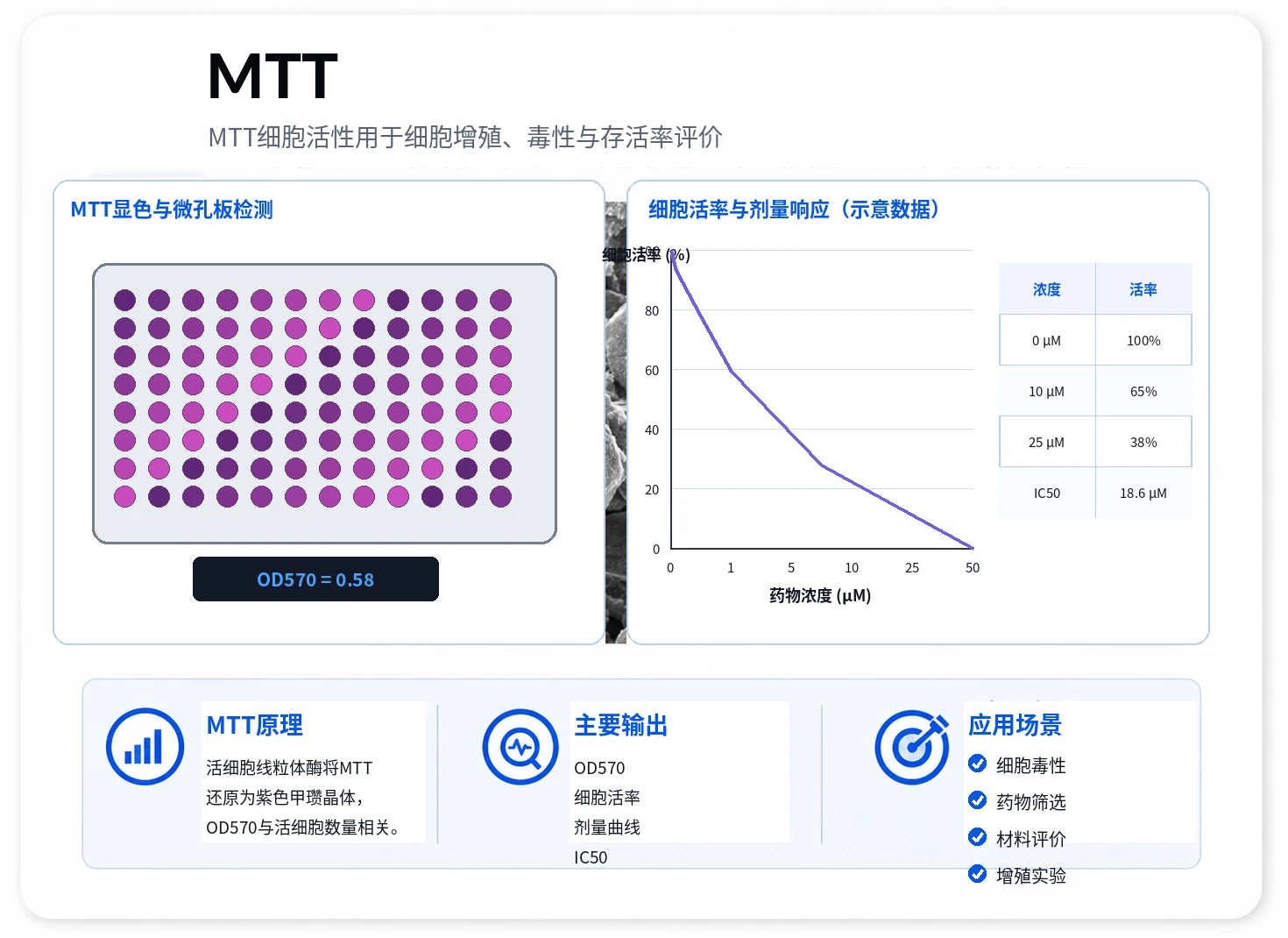 MTT细胞活性参考图