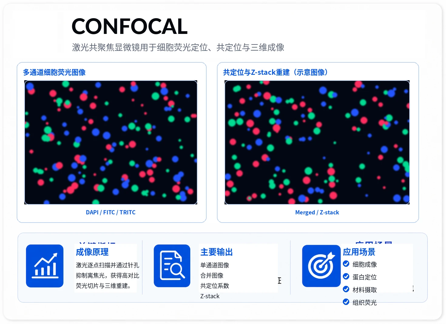 细胞激光共聚焦 参考图