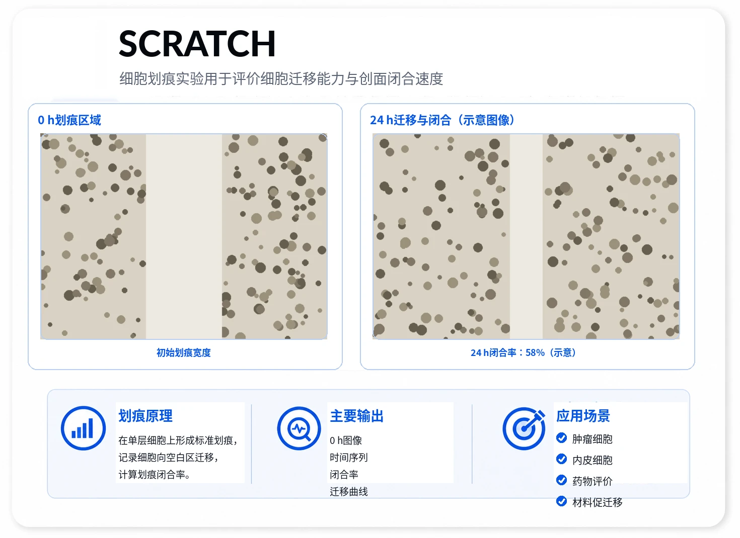 细胞划痕参考图