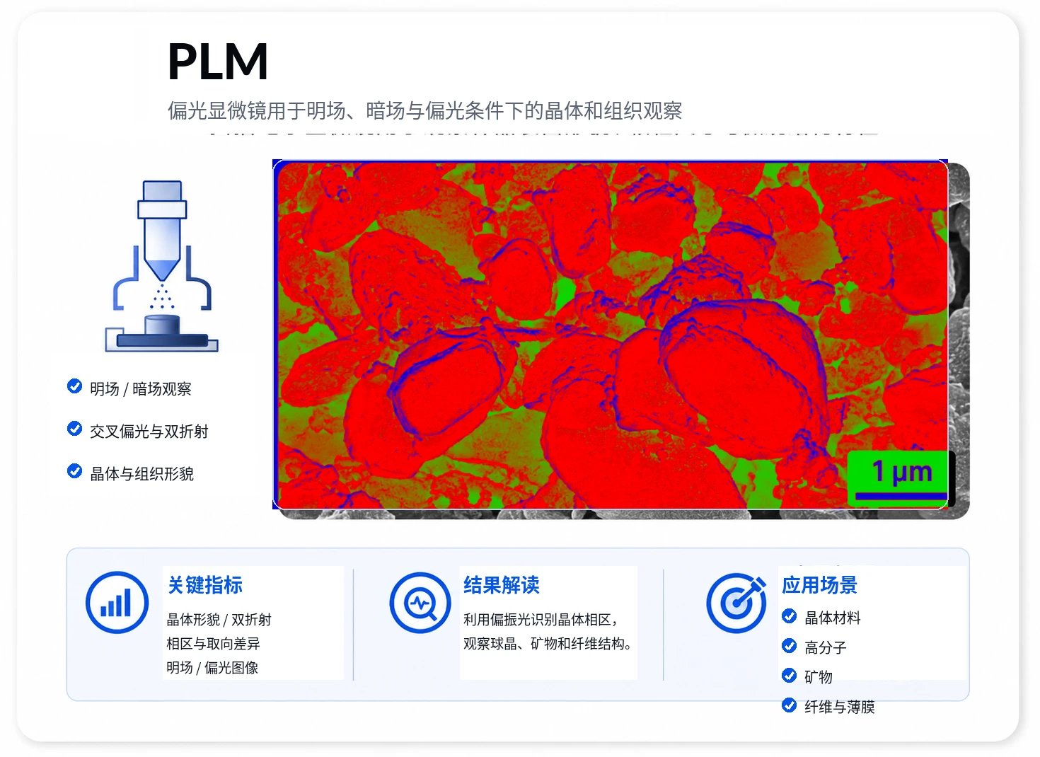 偏光显微镜参考图
