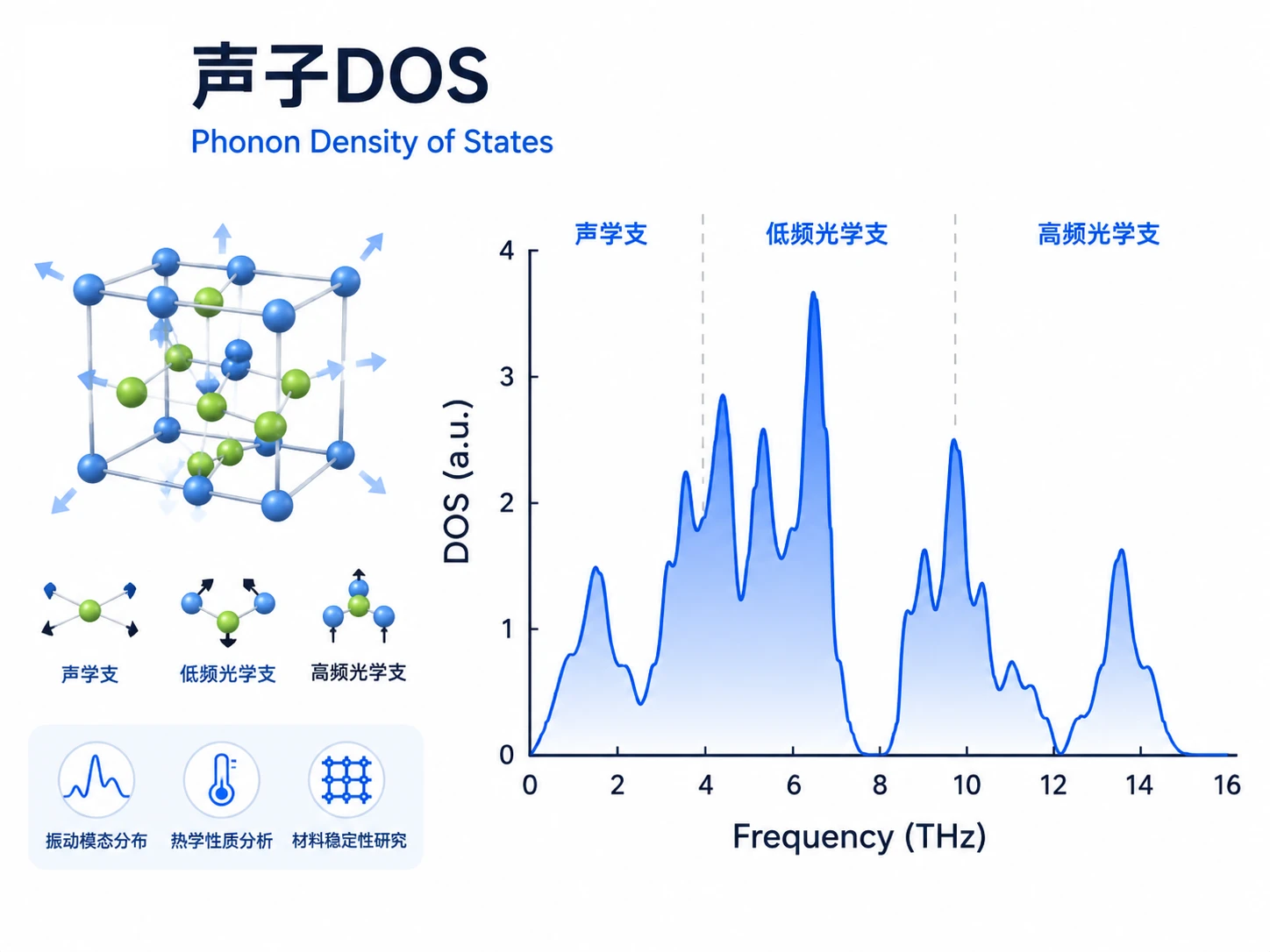 声子DOS 参考图