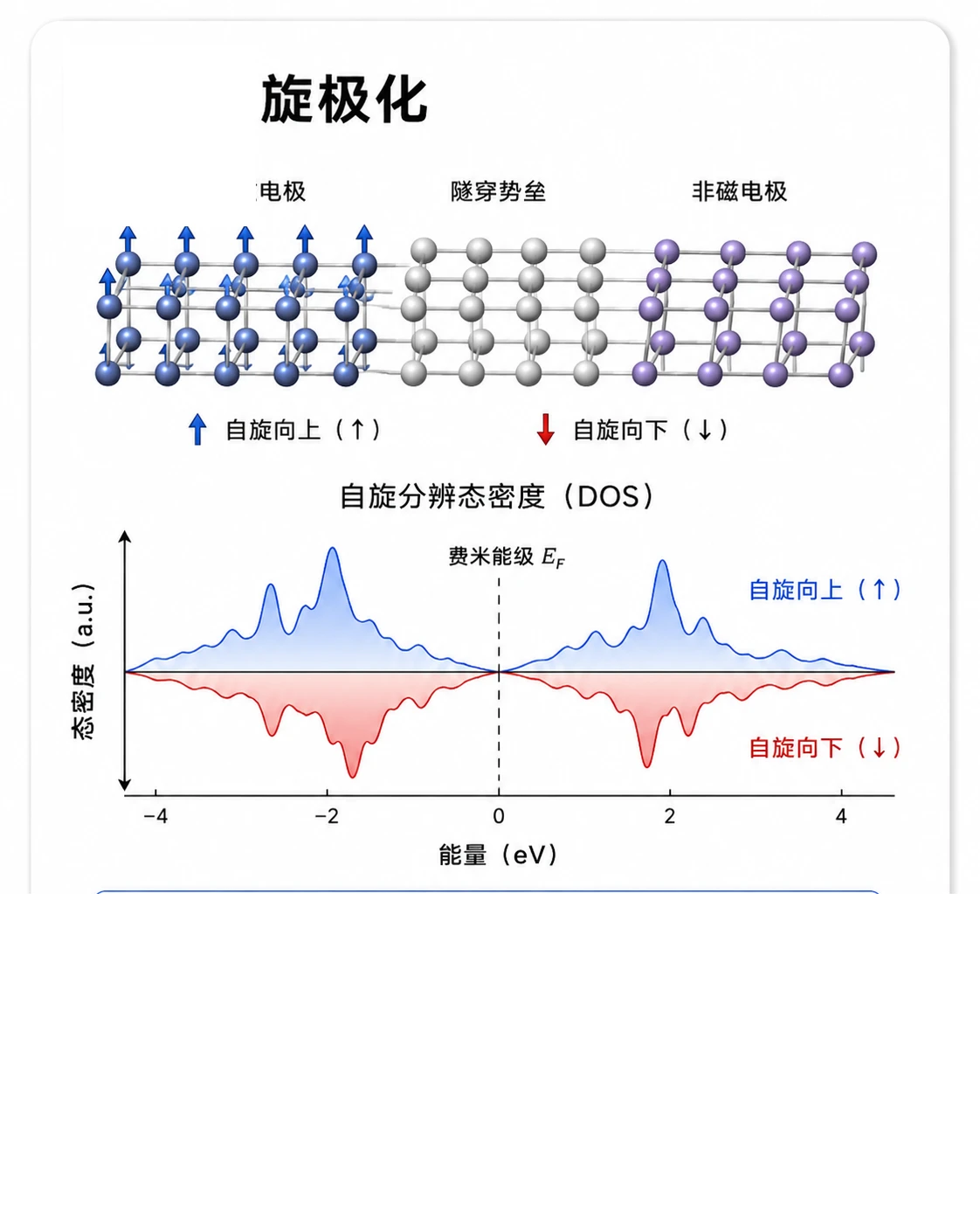 自旋极化 参考图