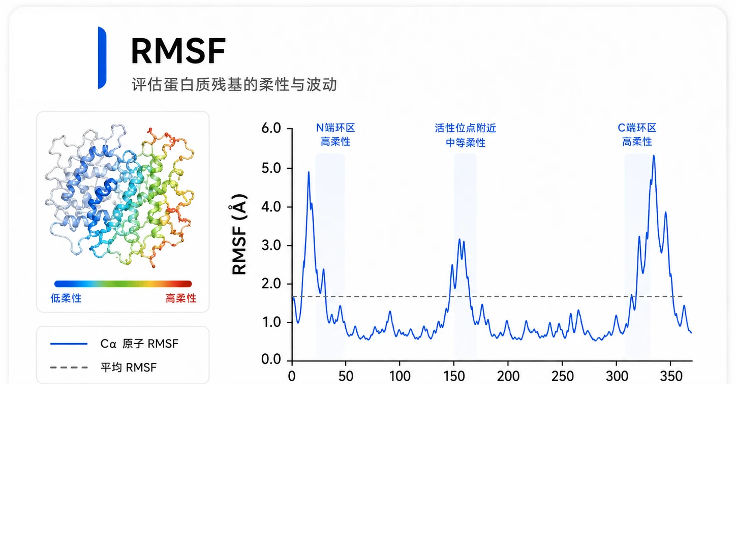 RMSF参考图