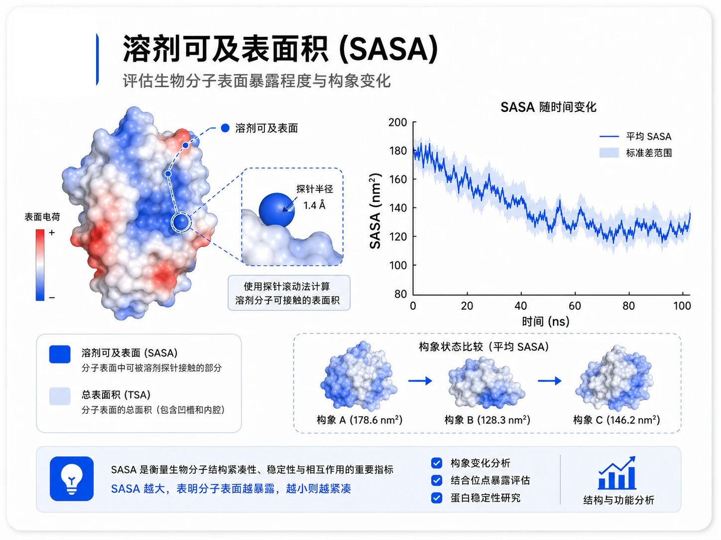 溶剂可及表面积(SASA)参考图