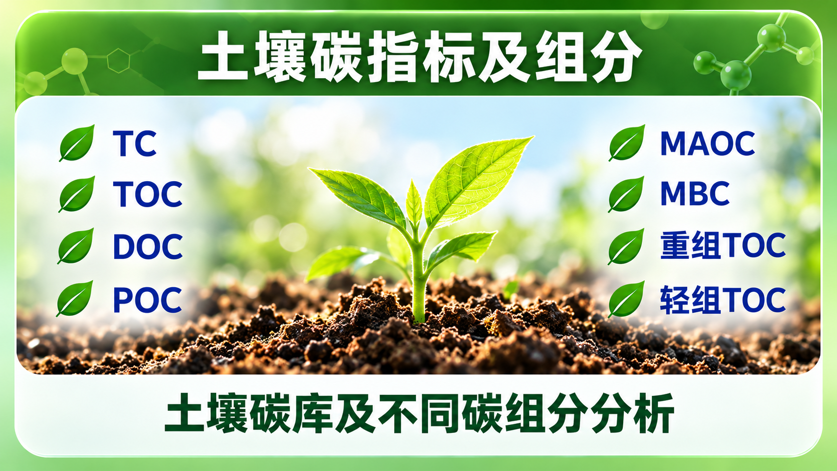 土壤碳指标及组分分析